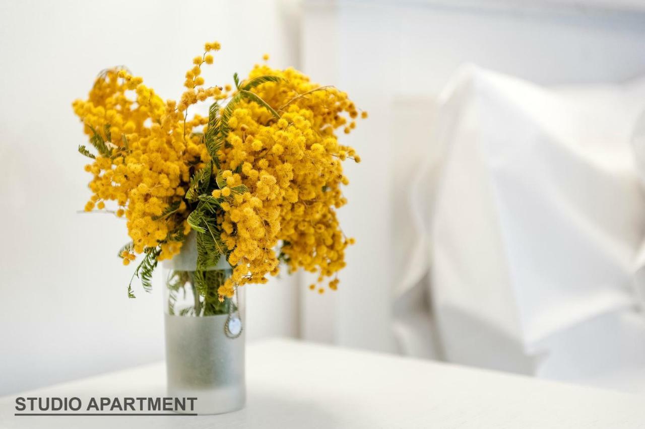 Apartments Rialto Gallery Šibenik Eksteriør bilde